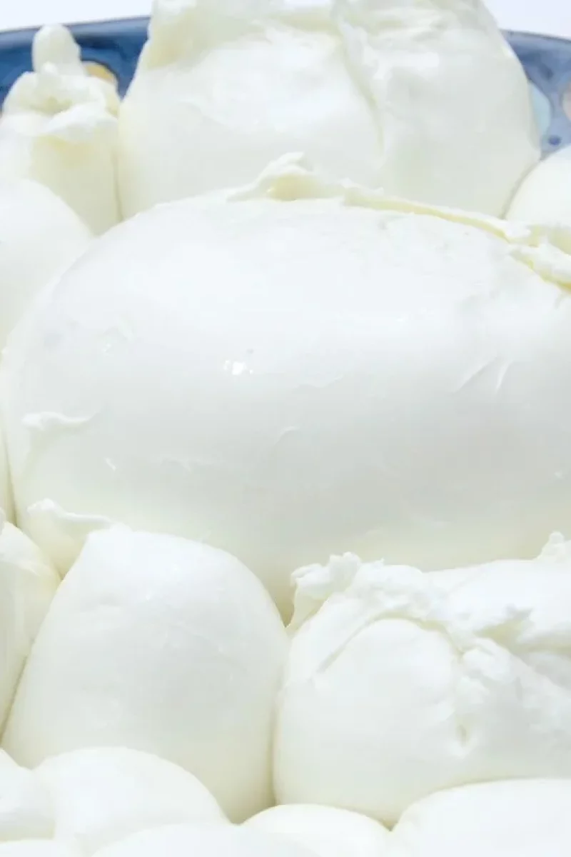 mozzarella-di-bufala-dop-1600